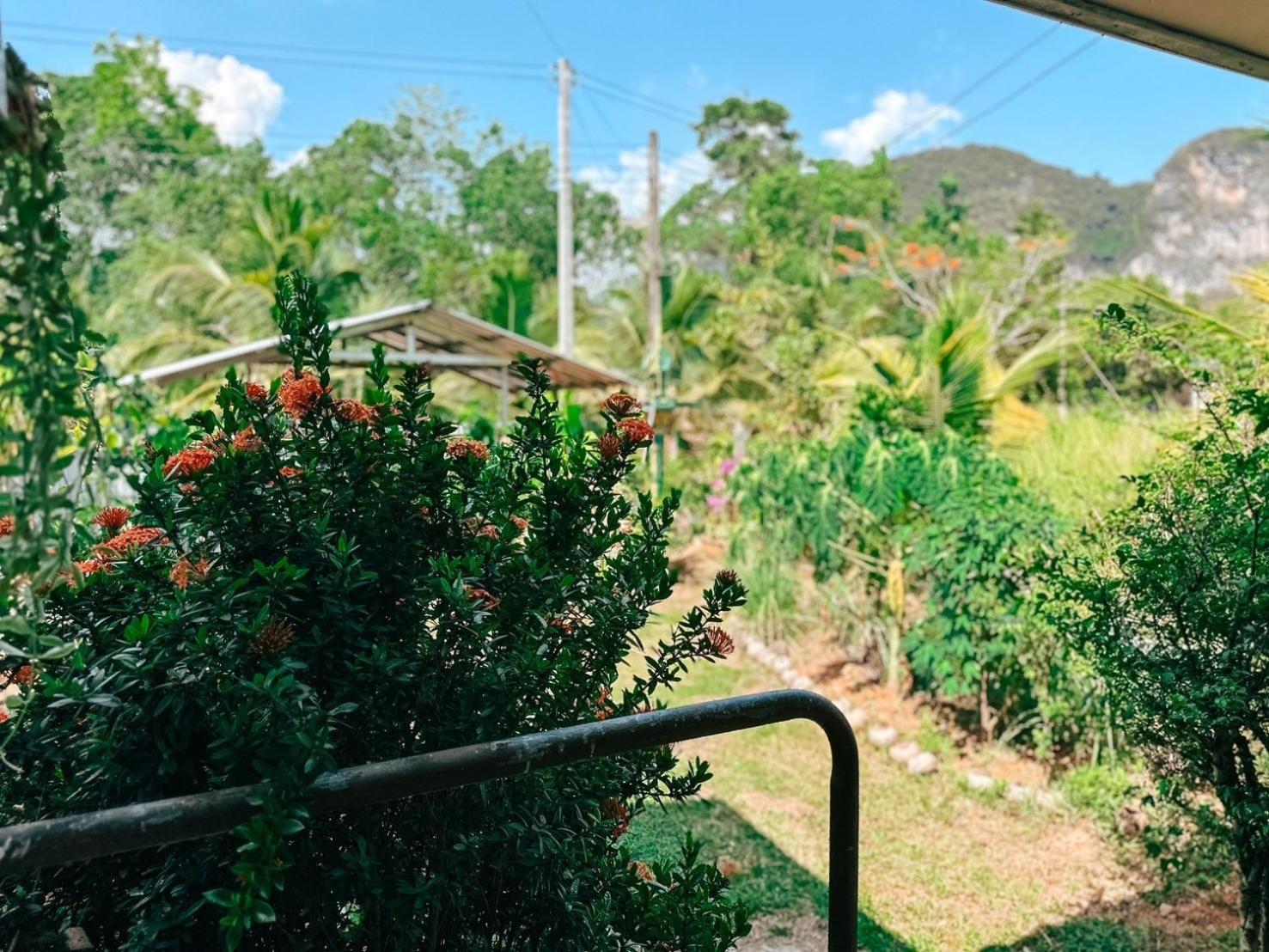 Ao Luek Homie Homestay Krabi Zewnętrze zdjęcie